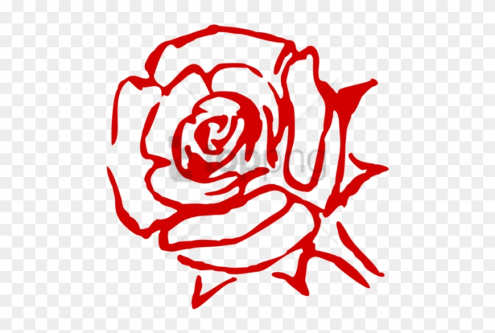 Red rose png images