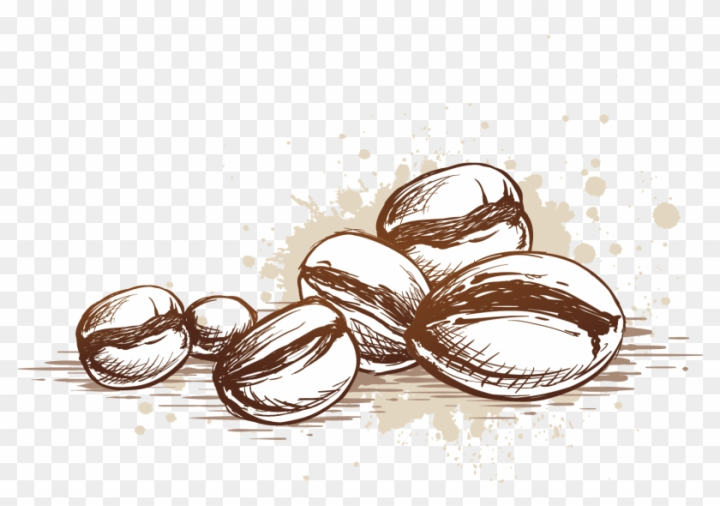 coffee bean,cocoa,restaurant,plant,trophy,cocoa beans,food,chocolate,coffee cup,natural,table,leaf,coffee,seed,menu,nature,drink,sweet,chair,cacao,glass,fruit,outdoor,tropical,cup,ingredient,background,green beans,dessert,peas,cafeteria,rice,cafe,jelly bean,bar,cocoa bean,tea cup,tree,tea,beans,png