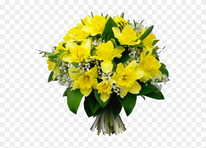 Free Tube Bouquet De Jonquilles Bouquet Jonquille Et Rose