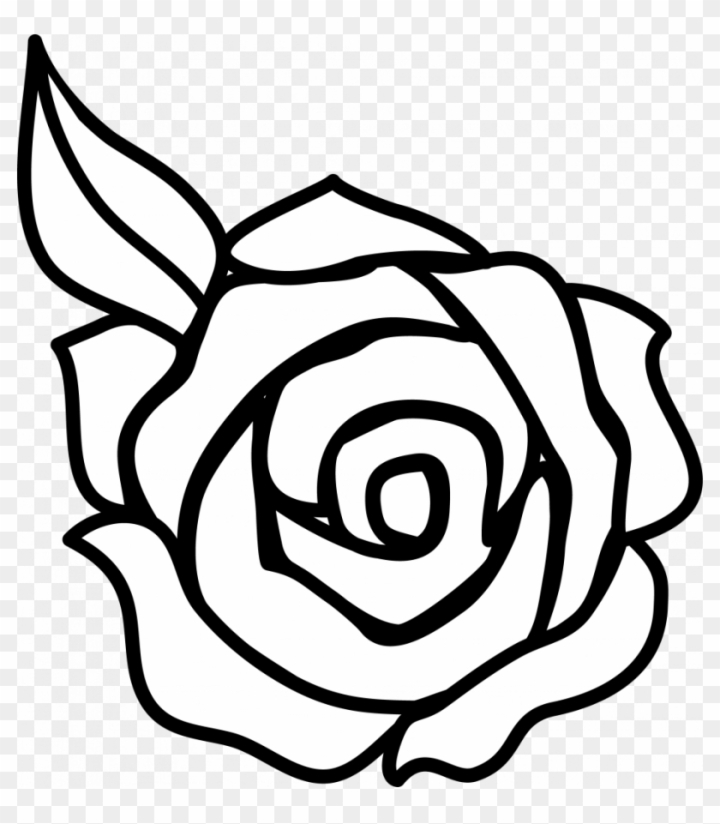 How to Draw a Rose | Easy Drawings Rose | Nil Tech - shop.nil-tech-saigonsouth.com.vn