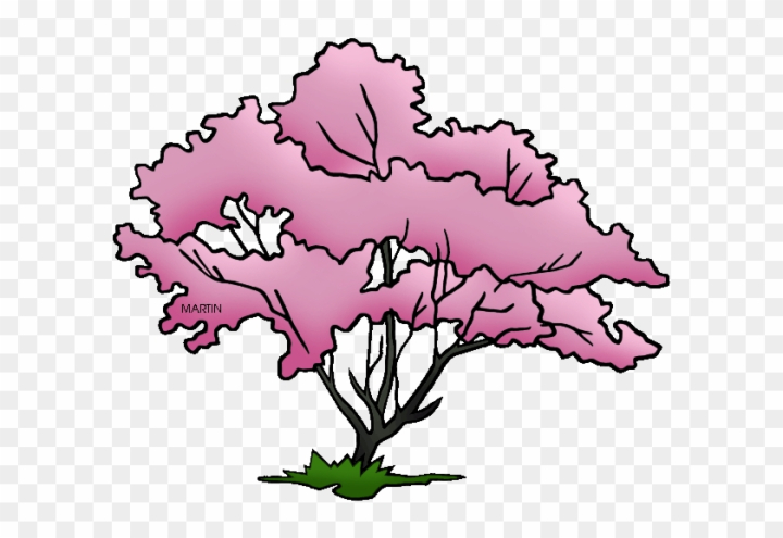 Alabama Trees: Over 373 Royalty-Free Licensable Stock Illustrations &  Drawings | Shutterstock