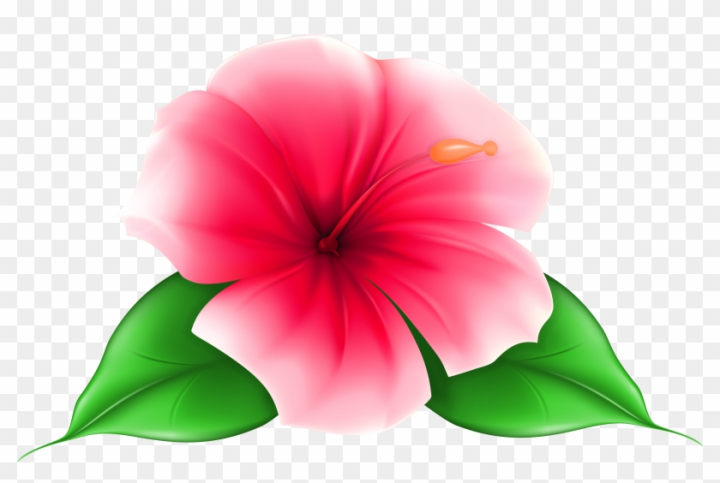 Free: Exotic Flower Png Clip Art Image - Tropical Flowers With ...