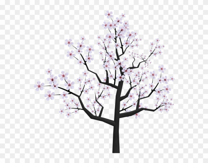 Cherry Tree Drawing Vector Images over 3500
