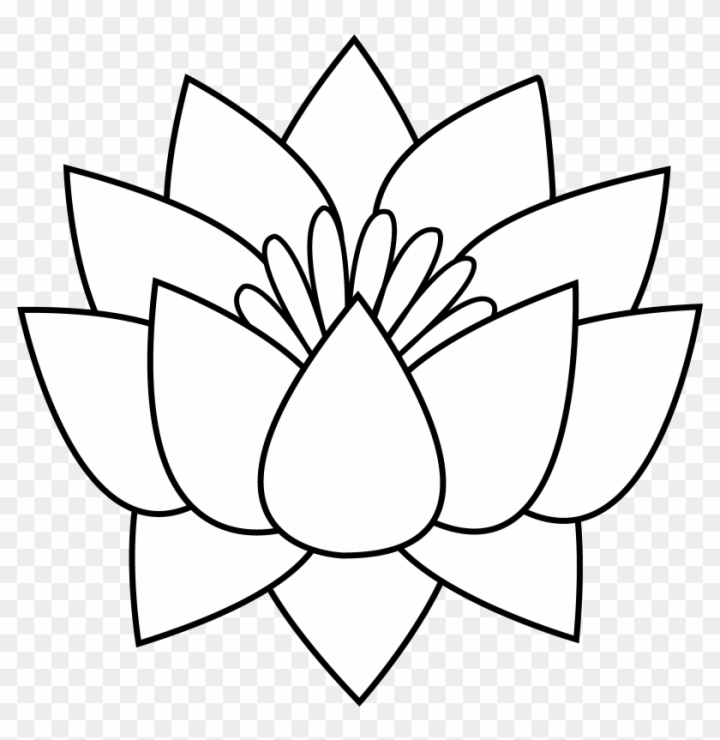 1228x772 Drawing Details Lotus Flower Transparent Png Clipart Free | Lotus  flower drawing, Flower drawing, Lotus drawing