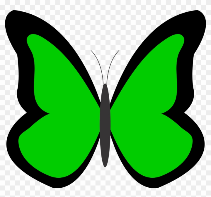 green butterflies clipart