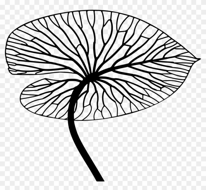 tree,draw,painting,sketch,lines,isolated,paint,set,leaves,woodcut,illustration,hand drawing,frame,kids drawing,drawing,pencil drawing,flower,drawing board,music,doodle,line pattern,artist,nature,pencil,decoration,graphic,plant,art gallery,banner,art deco,leaf pattern,pop art,arrow,art design,branch,element,wave,ancient,maple leaf,design,png,comclipartmax