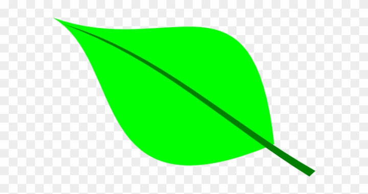 Big leaf little leaf Stock Photo