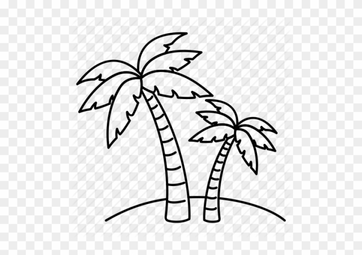 How to Draw a Palm Tree  Improve Drawing