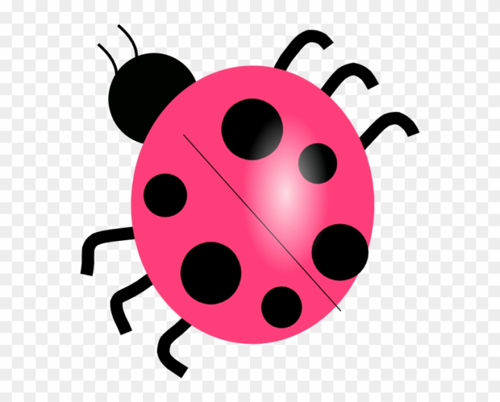 Free: Ladybug Clipart - nohat.cc