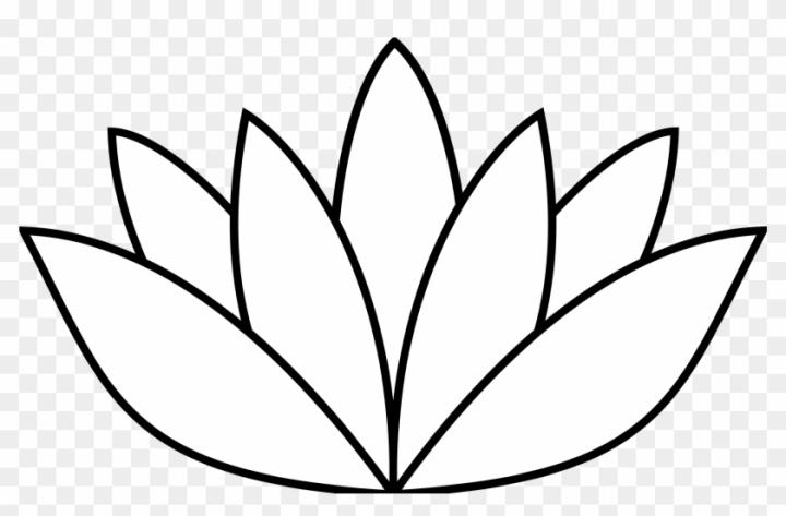 Lotus Flower In Pencil Drawing Isolated On White Botanic Illustration With  Realistic Lotus Flower Pencil Sketch With Water Lily Stock Illustration -  Download Image Now - iStock