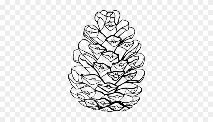 pine cone coloring page