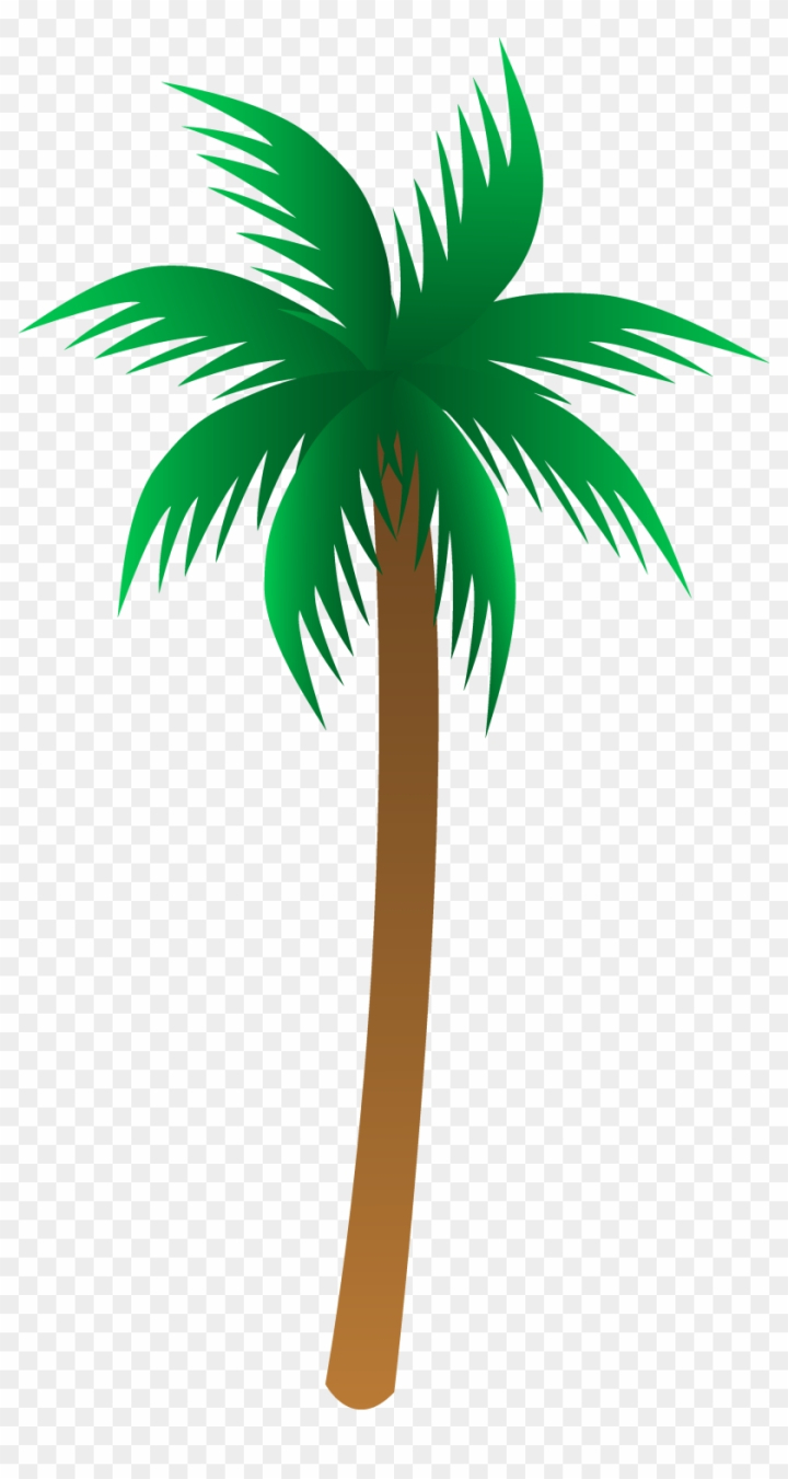 Free: Palm Tree Clipart - Palm Tree Clipart - nohat.cc