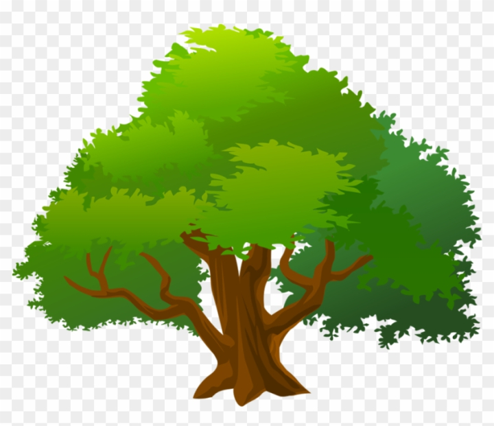 Clipart Of Mango Tree With Ripe Fruits Free Clip Art - Drawing Of Mango Tree  - Free Transparent PNG Clipart Images Download