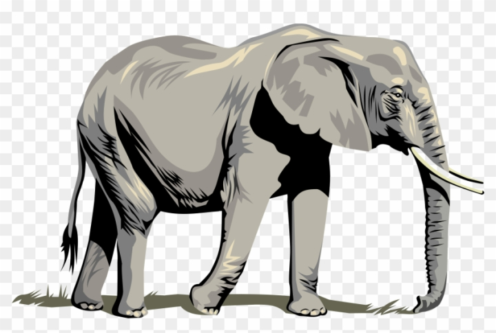 elephant gallery clipart