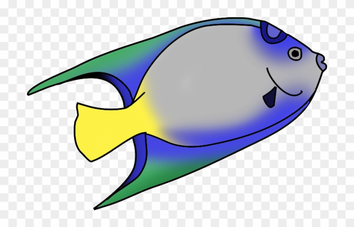 Free: Colorful Fish Clip Art - Transparent Background Fish Clipart 