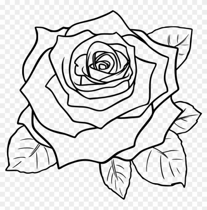 clipart roses black and white