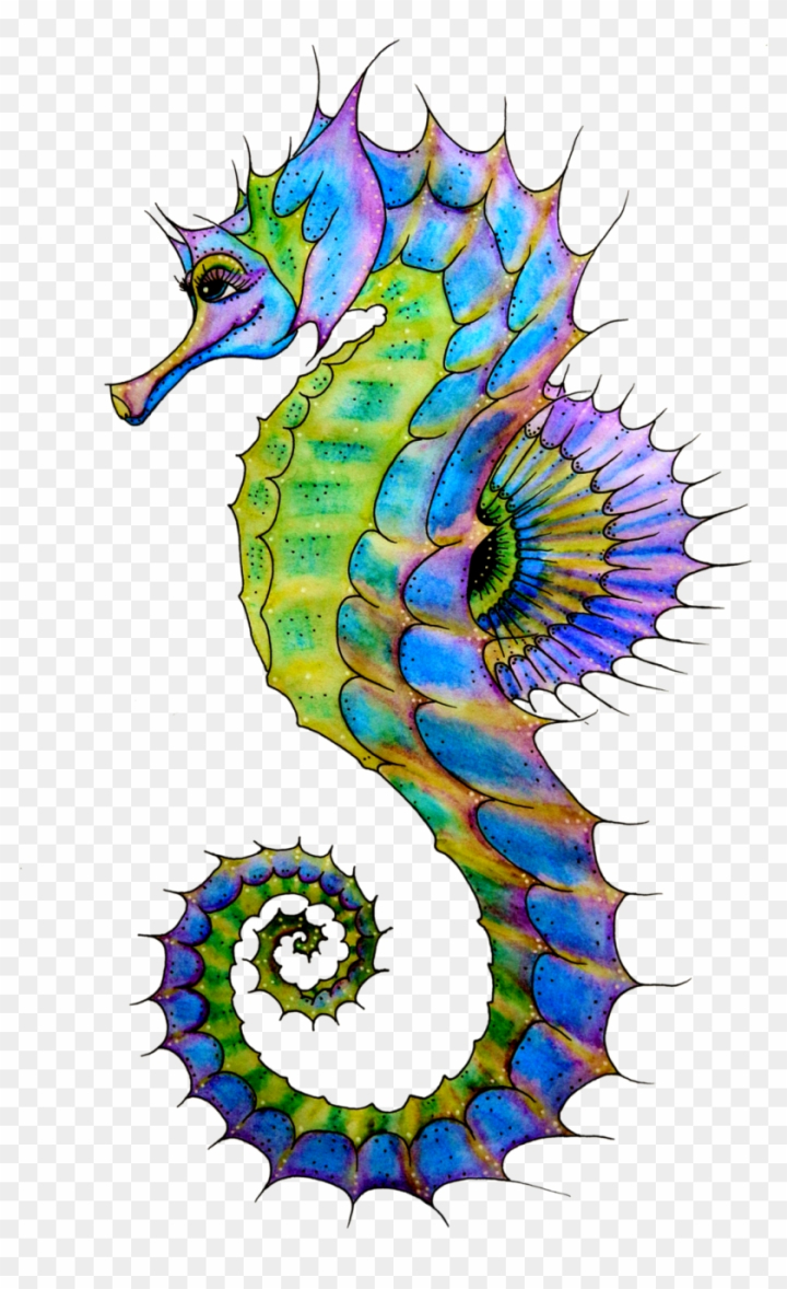 Seahorse Drawing Tutorial - How to draw Seahorse step by step