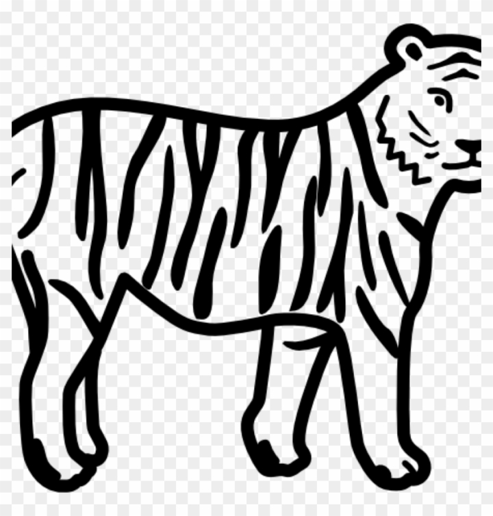 Free: Tiger Clipart Black And White Tiger Clip Art Black - Outline Pictures  Of Animals 