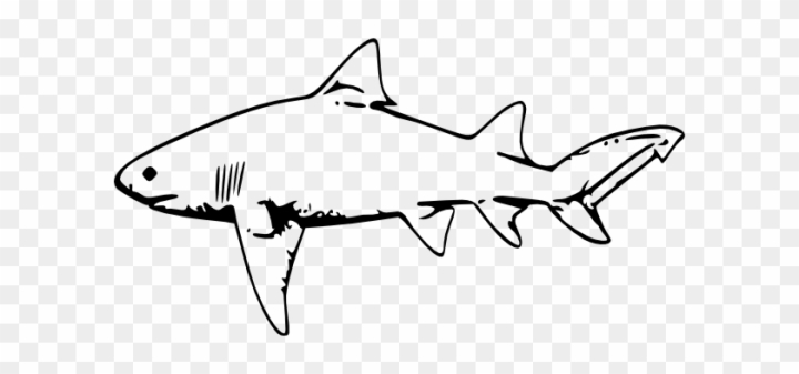 shark clip art black and white