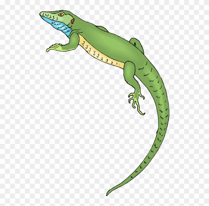 Free: Lizard Clipart Cliparts And Others Art Inspiration - Lizard Clip Art  Png 