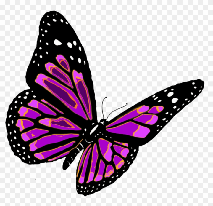 Free: Inspiring Clipart Small Butterfly - Butterfly Png 