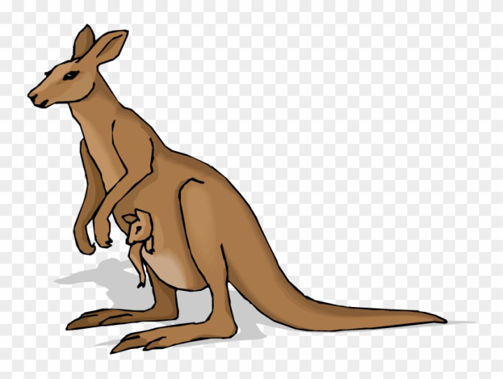 free kangaroo clip art