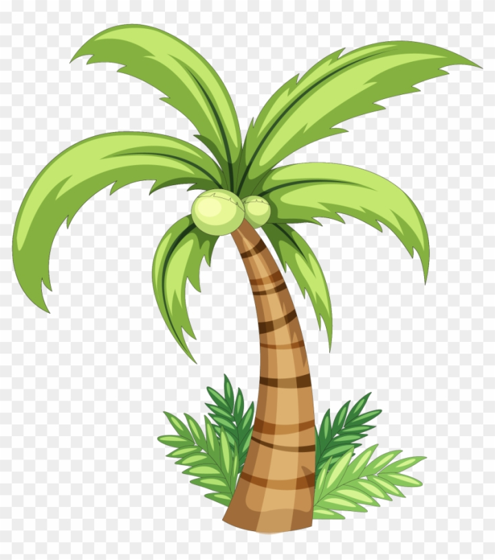Draw a Coconut Tree I Coconut Tree Drawing Tutorial - YouTube