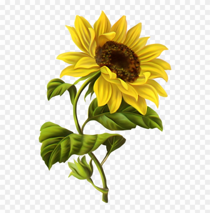 How to Draw a Sunflower | Easy Step-by-Step Guide - Arty Crafty Kids