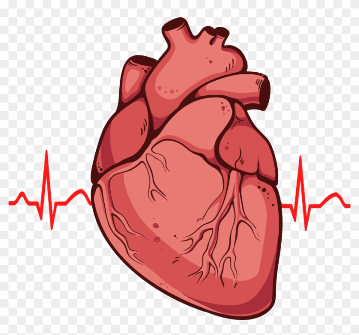 Realistic Heart Drawing - Etsy-saigonsouth.com.vn