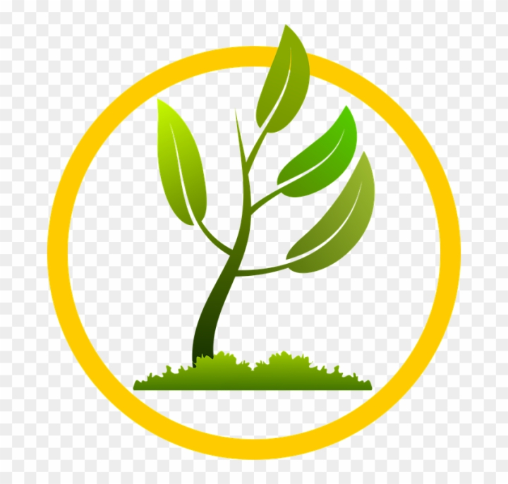 Environmental Protection Natural Environment Logo PNG, Clipart,  Environment, Environmental, Environmental Protection, Flower, Flowering  Plant Free PNG