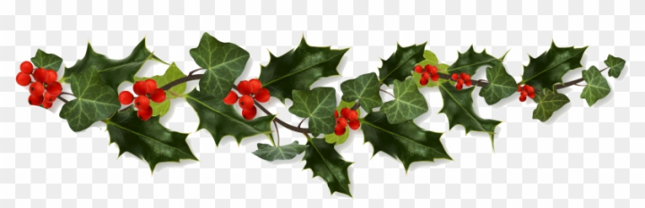 Christmas Holly PNG - Christmas Holly Border, Christmas Holly