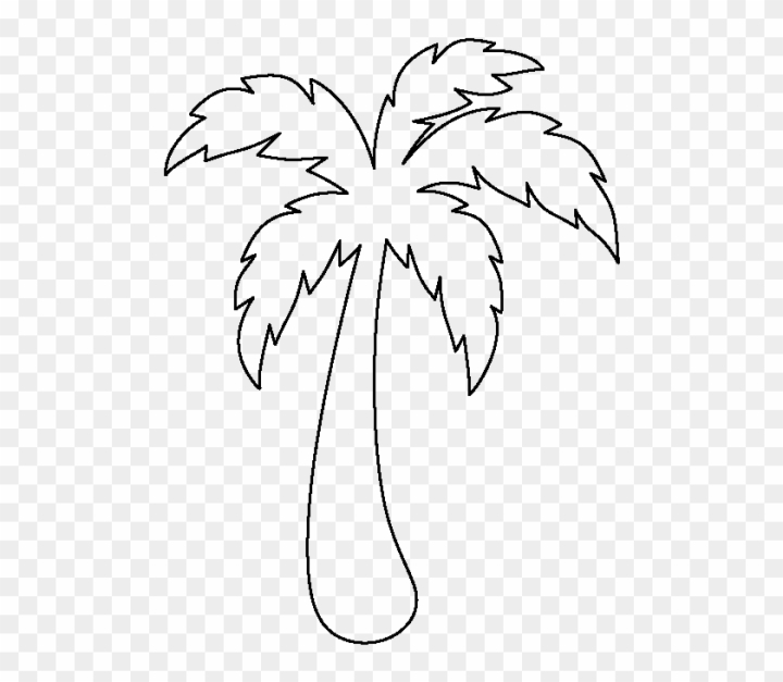Learn How to draw a Date Palm Tree