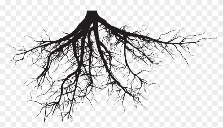 tree with roots silhouette