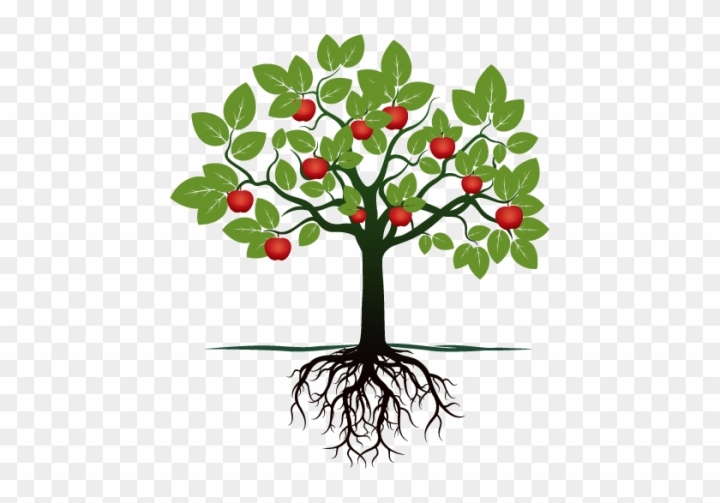 fruit tree with roots clipart