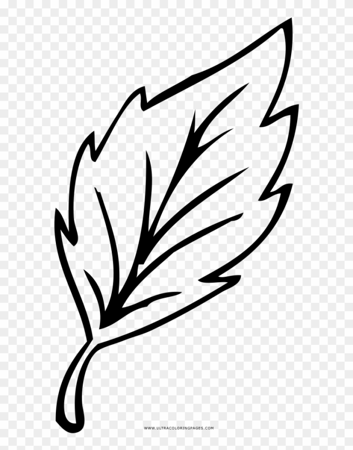 Transparent Leaves Drawing Png - Simple Leaf Transparent Background, Png  Download - vhv