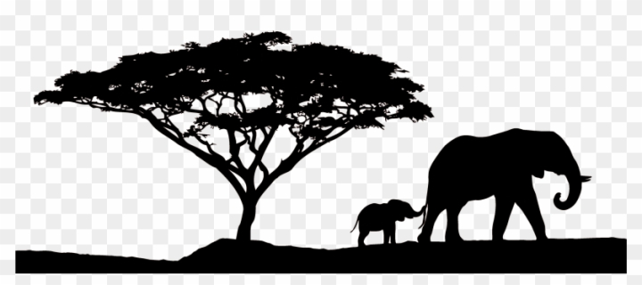 african tree silhouette