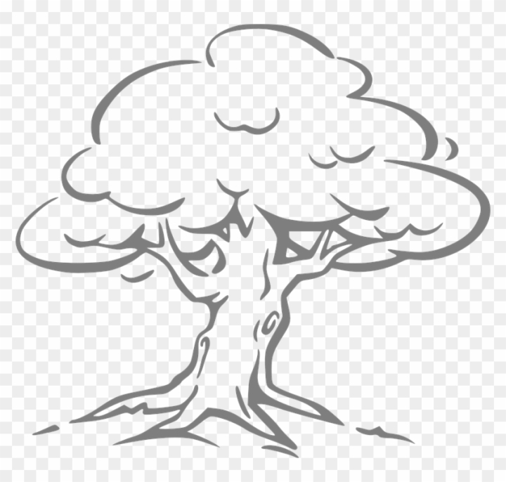 Tree Drawing Also Known Tree Sketch Stock Vector by ©prosymbols 243041764