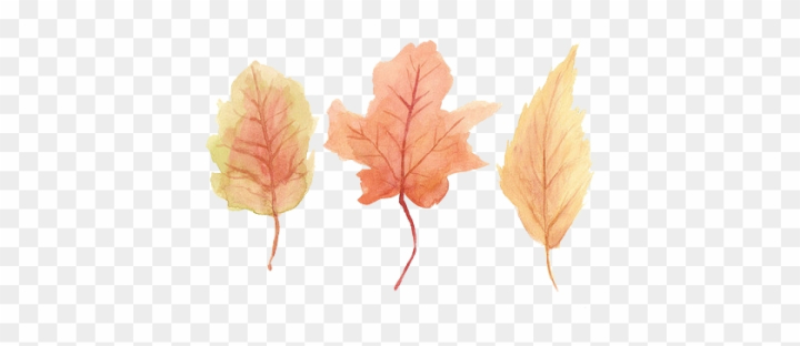 Set of autumn leaf coloring sheets, autumn falling leaf line drawings, hand drawing  leaves line art, - MasterBundles