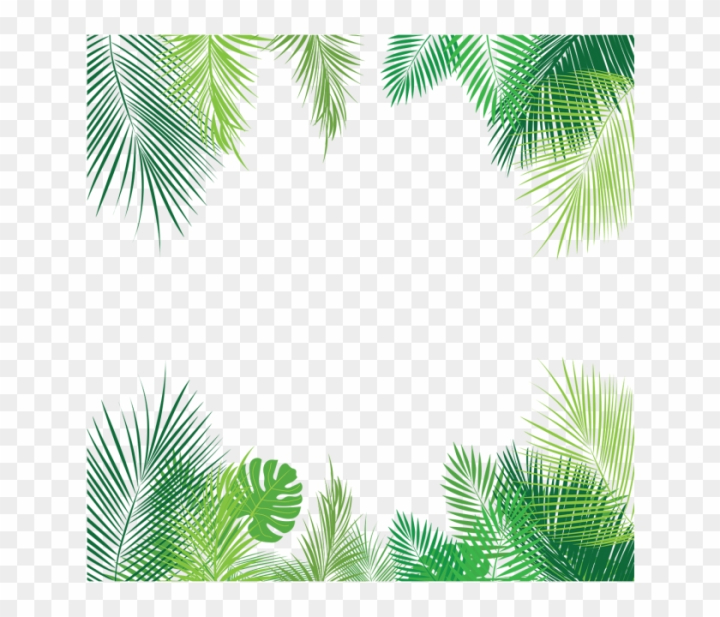 summer,banner,zoo,pattern,autumn,texture,wild,frame,palm sunday,abstract,safari,poster,fall,vintage,animal,nature,forest,foliage,wildlife,tropical,jungle animals,branch,rainforest,background,jungle trees,spring,jungle vines,hand,jungle book,season,animals,sea,monkey,green leaf,leaves,natural,lion,flowers,grass,wallpaper,png,comclipartmax