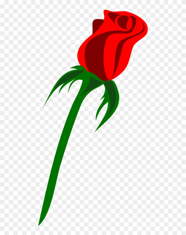 Rose petals Vectors & Illustrations for Free Download