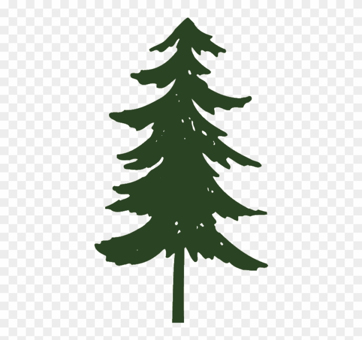 clipart pine tree
