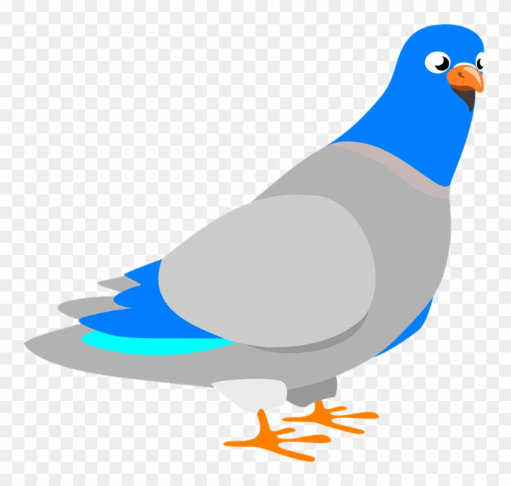 Free: Dove Clipart Burung - Another Word For A Long Time 