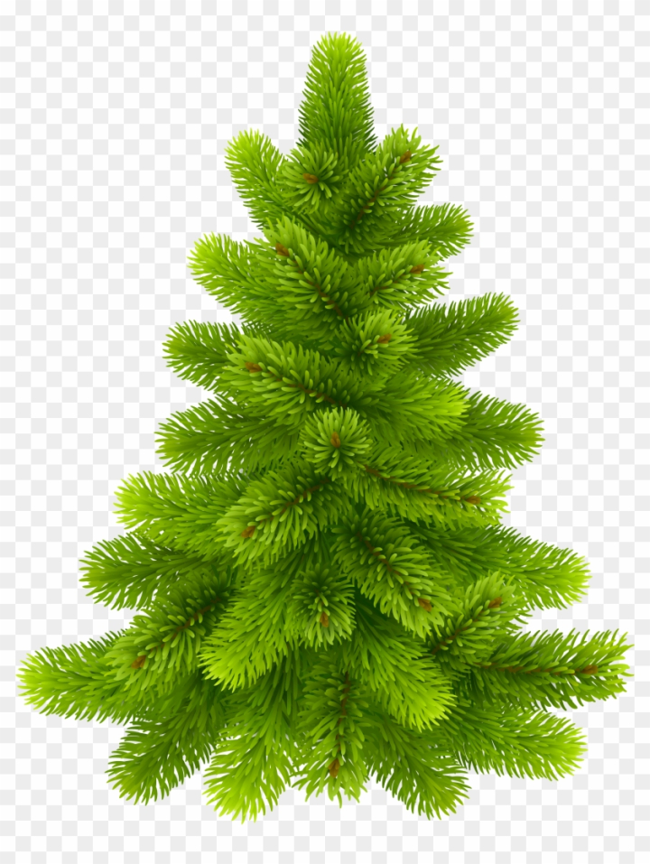 Pine Forest PNG, Vector, PSD, and Clipart With Transparent Background for  Free Download