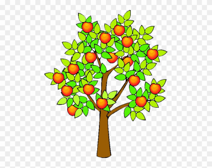 orange tree clipart black and white