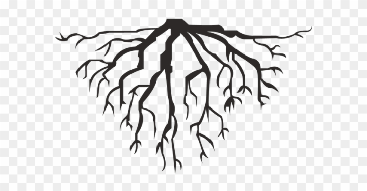 nature,root,trees,tree with roots,plant,tree and roots,flower,trees with roots,leaf,wood,tree,family tree,roots,house,symbol,three,natural,christmas tree,plus,tree of life,minus,tree silhouette,calculator,tree branch,sign,flowers,equal,abstract christmas tree,forest,red christmas tree,tree roots,oak tree,plant roots,pine tree,branch,seed,tree root,tree with root,math,leaves,png,comclipartmax