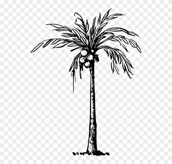 Premium Vector | Two coconut trees were attacked by a storm hurricane  oneline drawing