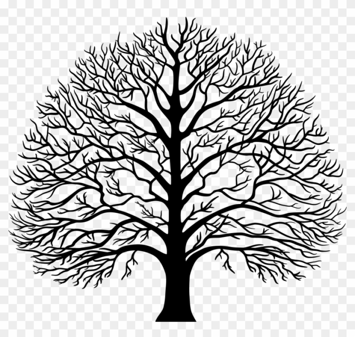 49+ Beautiful Olive Branch Tattoo Designs and Meaning For 2024 | Tattoos  for women, Olive branch tattoo, Trendy tattoos
