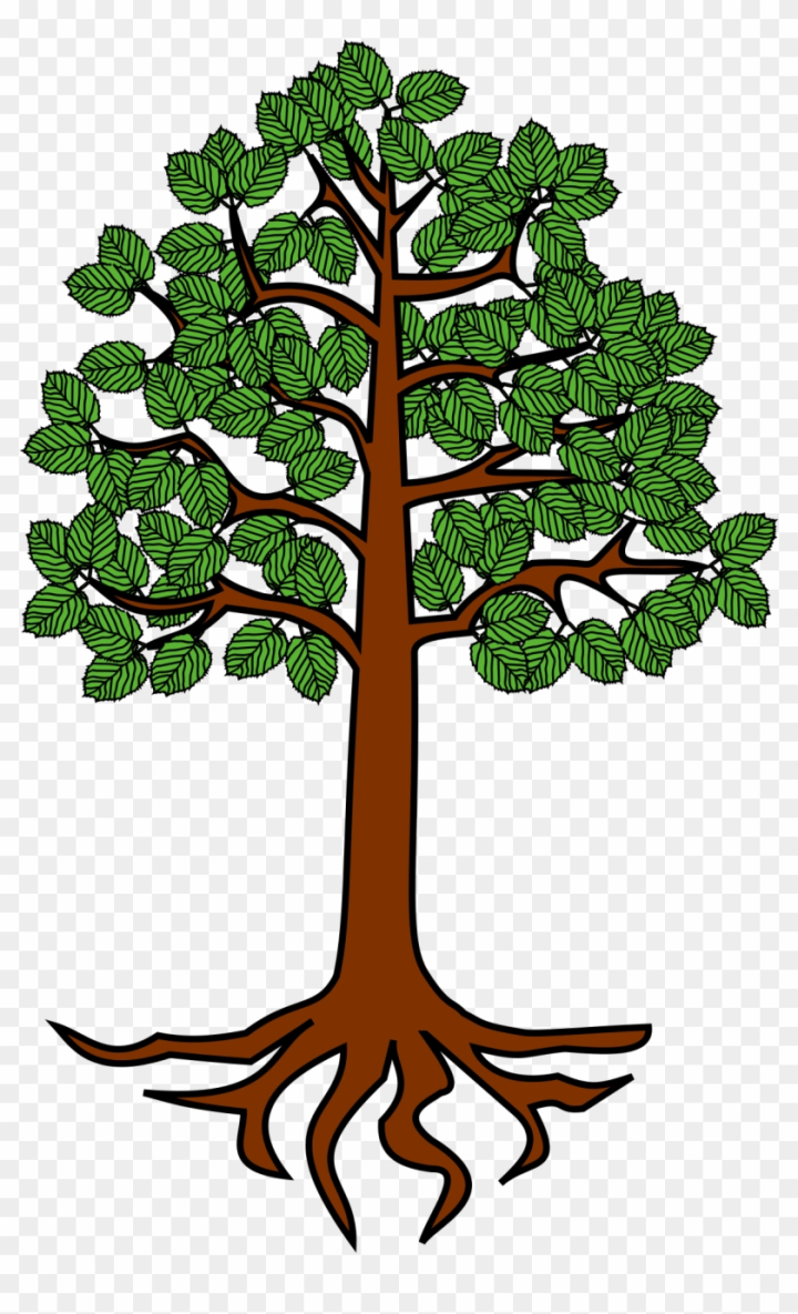 free tree with roots clipart