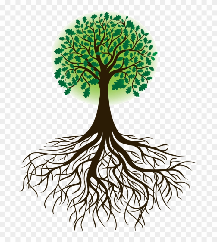 Free: Roots Clipart Cartoon - Tree With Roots Clipart 