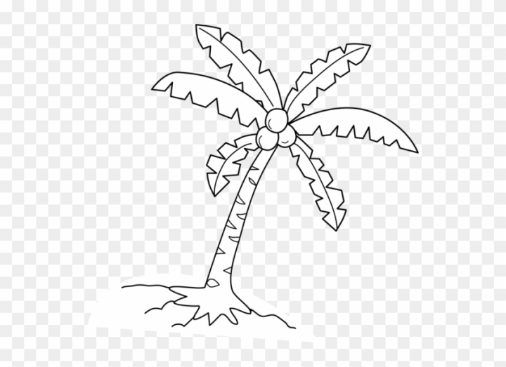 Drawing Coconut Tree Vector Images (over 5,500)